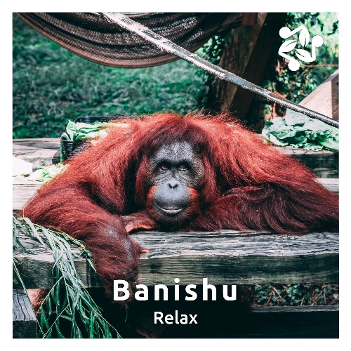 Cover art for the track 'Relax' by Banishu