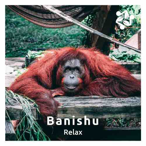 Cover art for the track 'Relax' by Banishu
